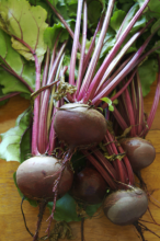 Photo of Beets