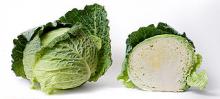 Photo of Cabbage