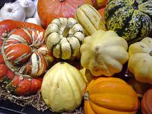 Photo of Winter_squash