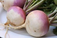 Photo of Turnips