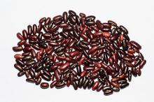 Photo of Kidney Beans