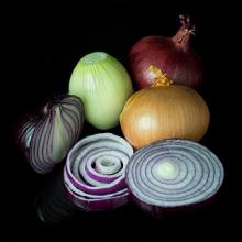 Photo of Onion