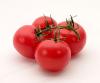 Photo of Tomatoes