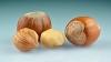 Photo of Hazelnut